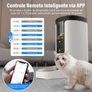 Alimentador Inteligente Pet 4L com Wi-Fi Controle Remoto App Voz Automático Newpet - Cor NP1275