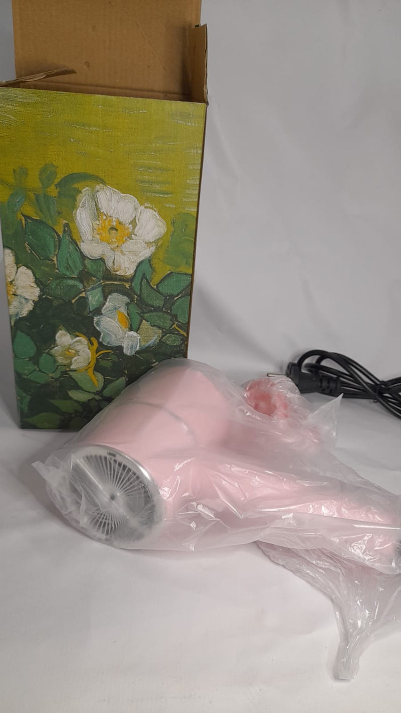 Secador De Cabelo Quente e Frio Iônico Portátil Surker 110V